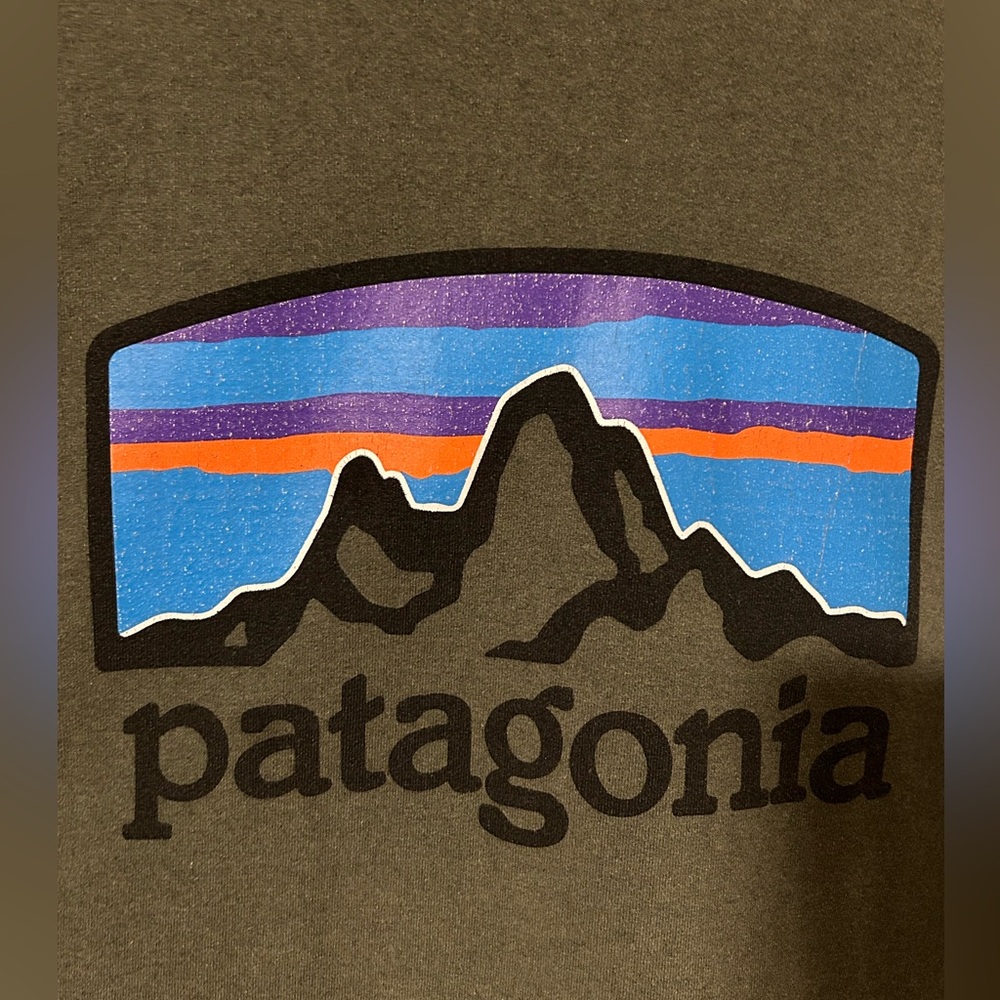Patagonia Men’s Fitz Roy Horizons Uprisal Crew Sweatshirt Green Size S - Picture 5 of 12